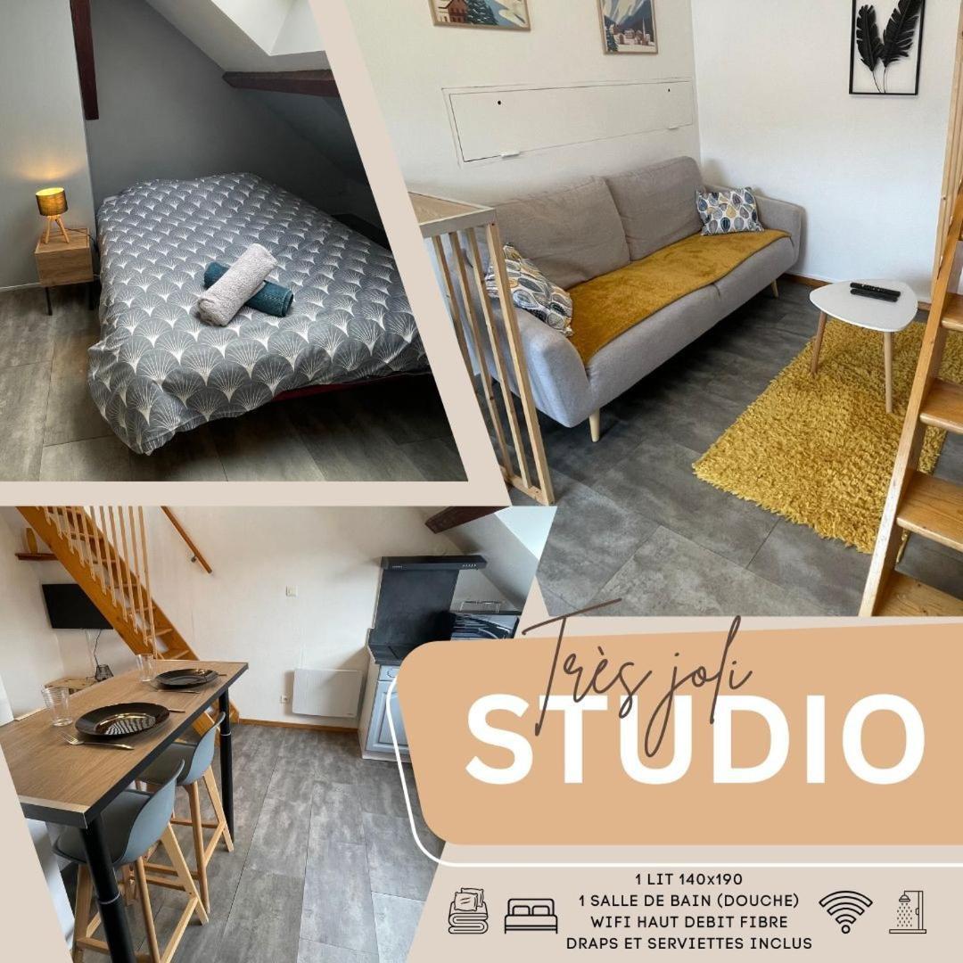Superbe Studio A Proximite Du Centre-Ville サン＝ディエ＝デ＝ヴォージュ エクステリア 写真
